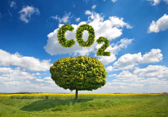 China's sci-tech breakthroughs boost low-carbon chemical industry