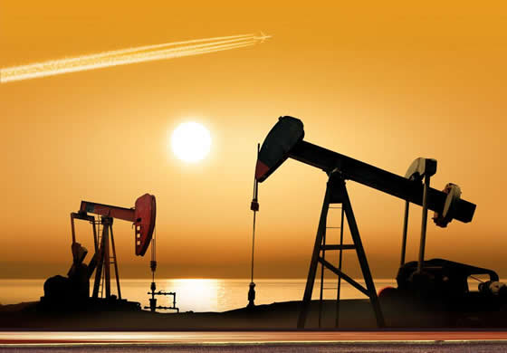 China reports faster profit growth in oil, petrochemical industry